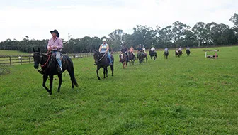 Hollyhall Fun Day Events