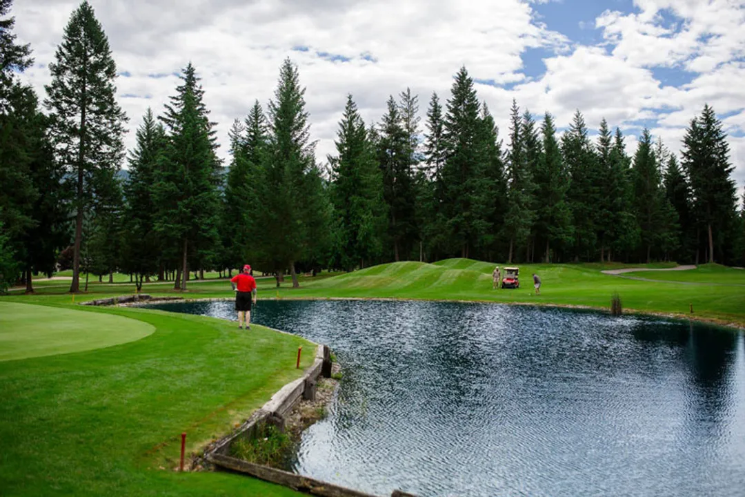 Green Fees at Shuswap Lake Golf Course