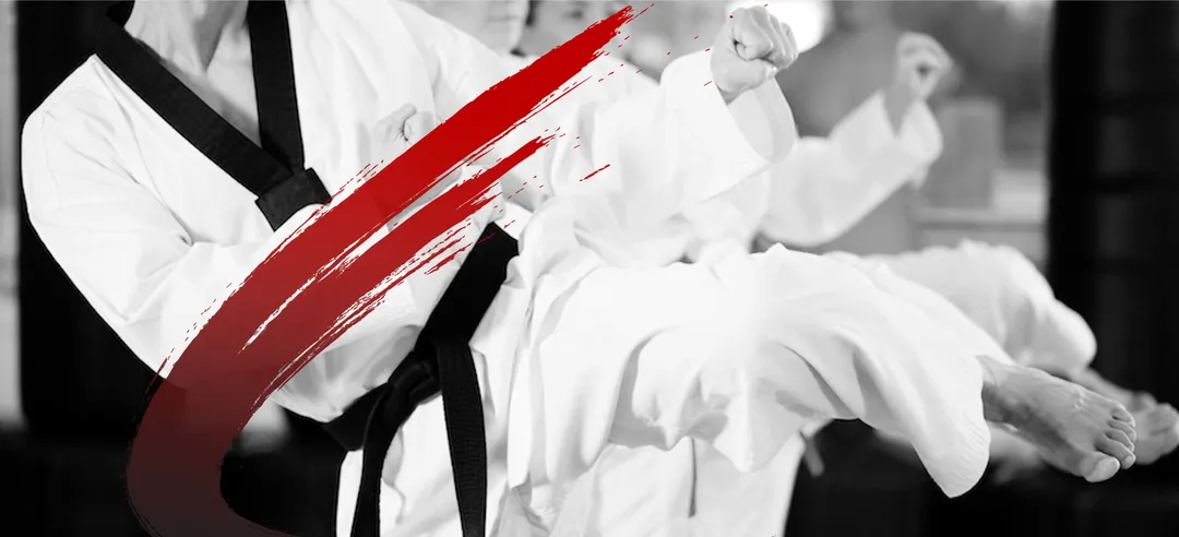 Taekwondo World