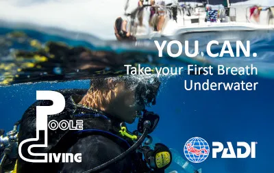 PADI Seal Team Aqua Missions