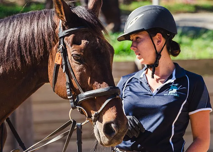 Horse Riding Lesson Pricing at Dalson Park