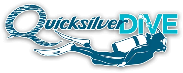 4-Day Learn to Dive with Quicksilver Dive