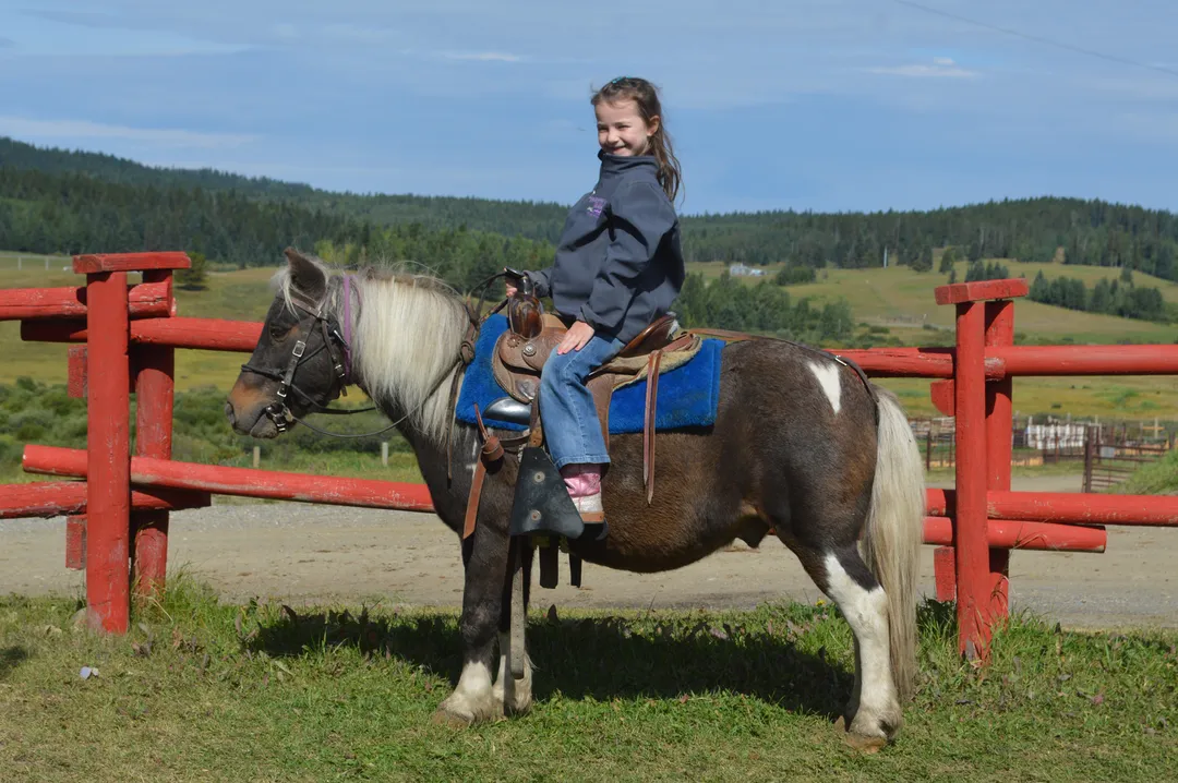Summer Camps at Bar JO Ranch