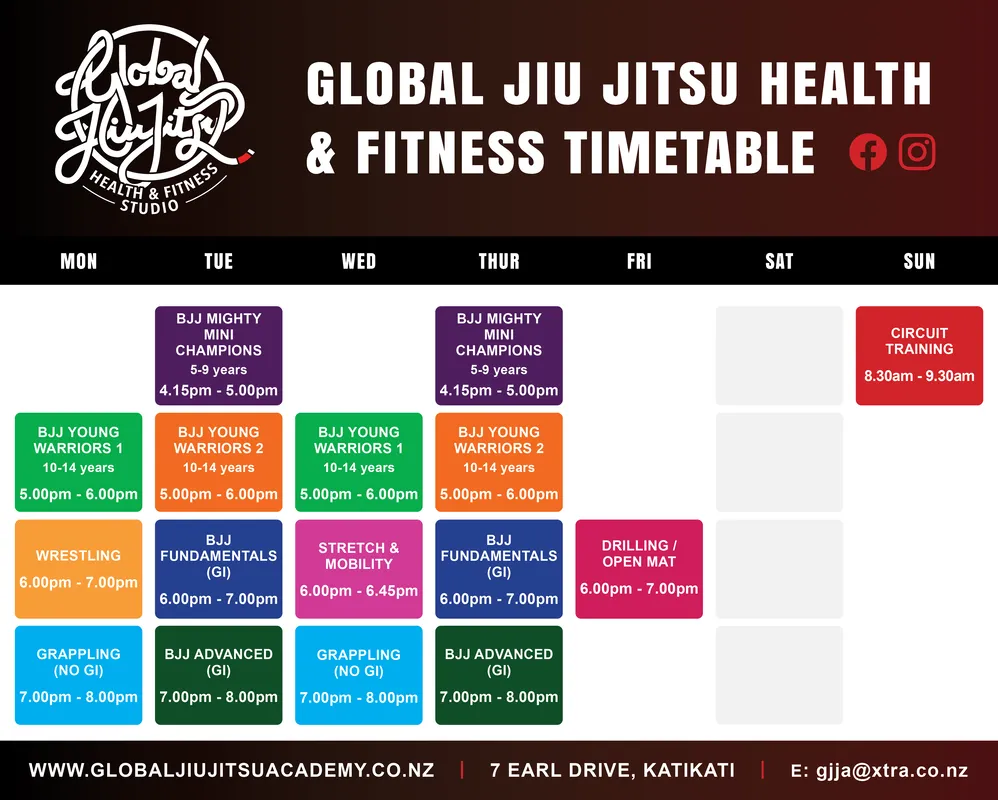 Brazilian Jiu-Jitsu Fundamentals