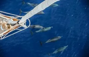 Yachtmaster Preparatory Course