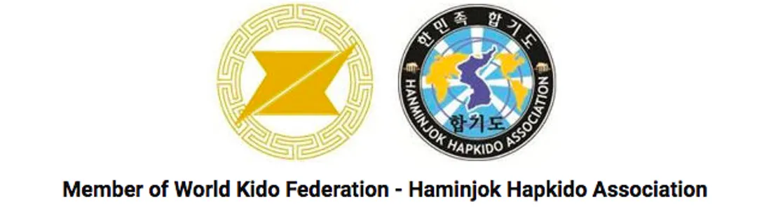 Manawatu Hapkido Palmerston North ADULT CLASSES