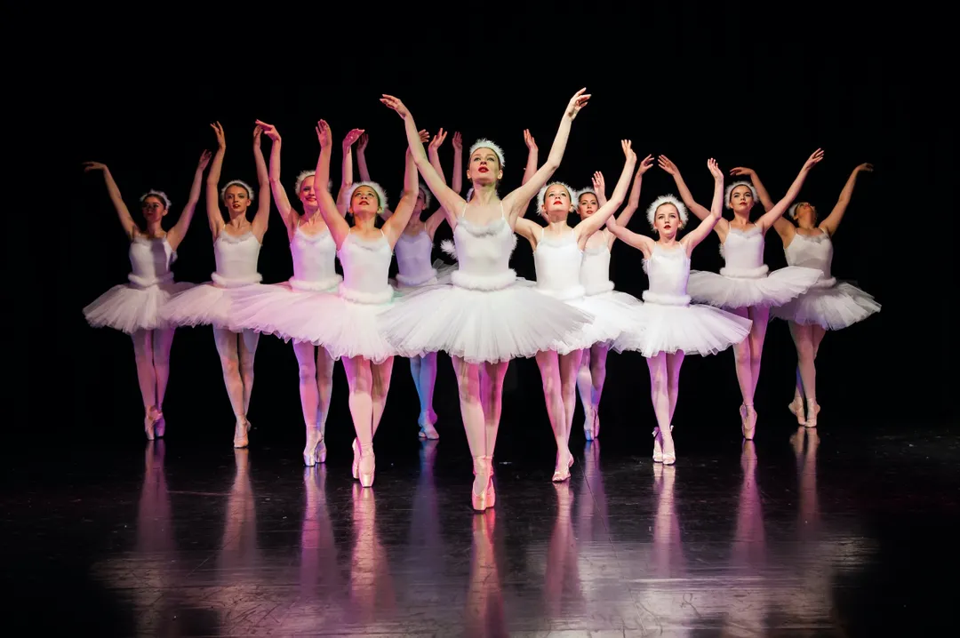 Silver Swans® Classes