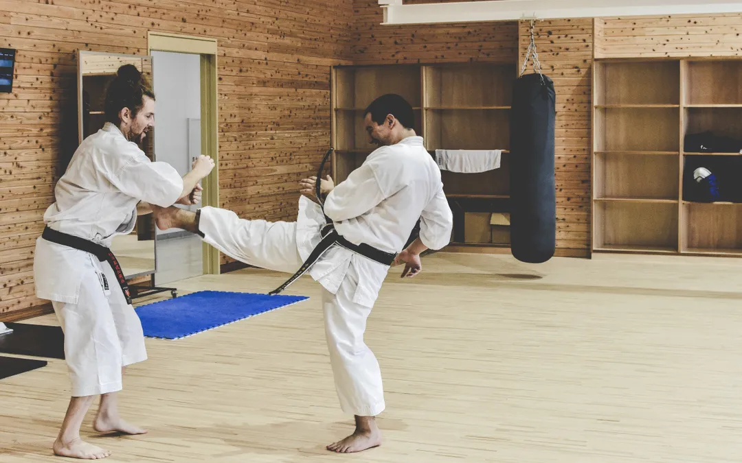 Zen Bujutsu Kai Karate