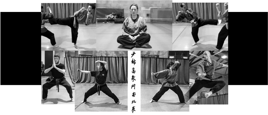 Learn Kung Fu with Nam Pai Chuan