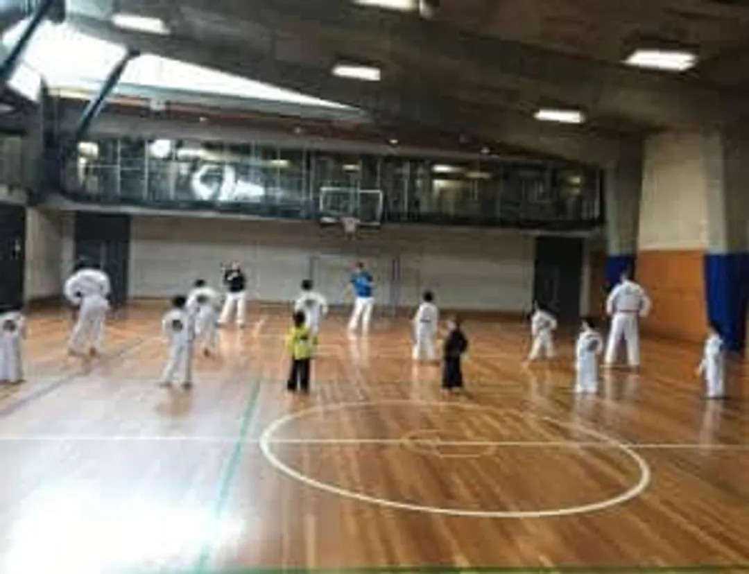 Kyokushin Karate
