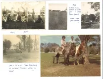 Parramatta Park Runners and Walkers - Handicap Races