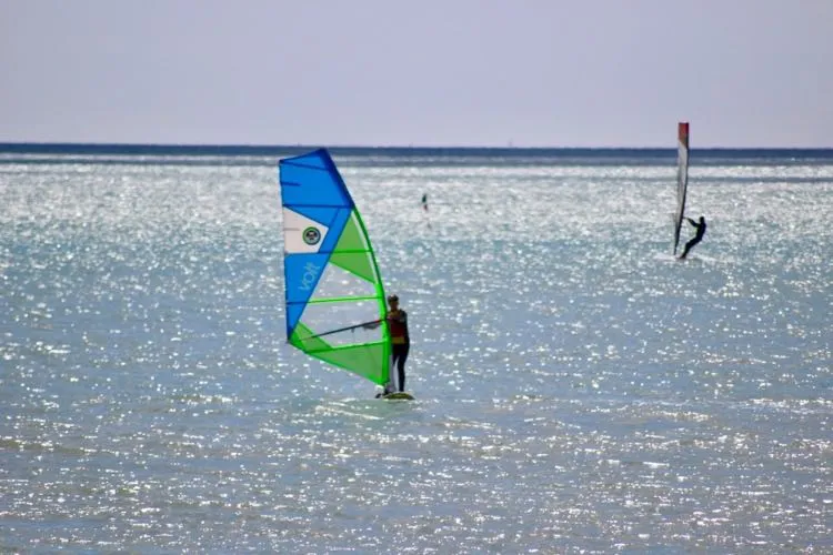 Windsurf Taster Session