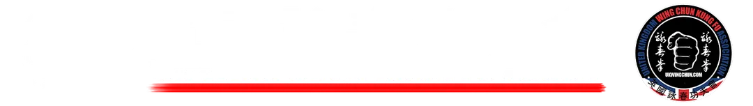 Wing Chun Chi Sau with GM Ip Chun Chi Sau MasterClass