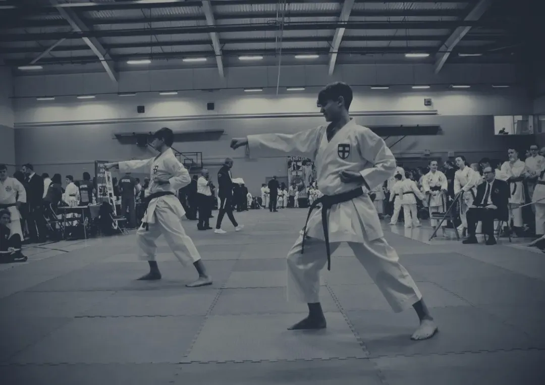 Seishin-Do The Way of Positivity