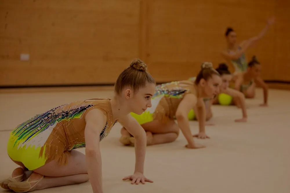 Gymnastics Academy