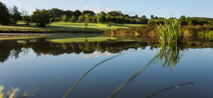 Foyle Golf Driving Range