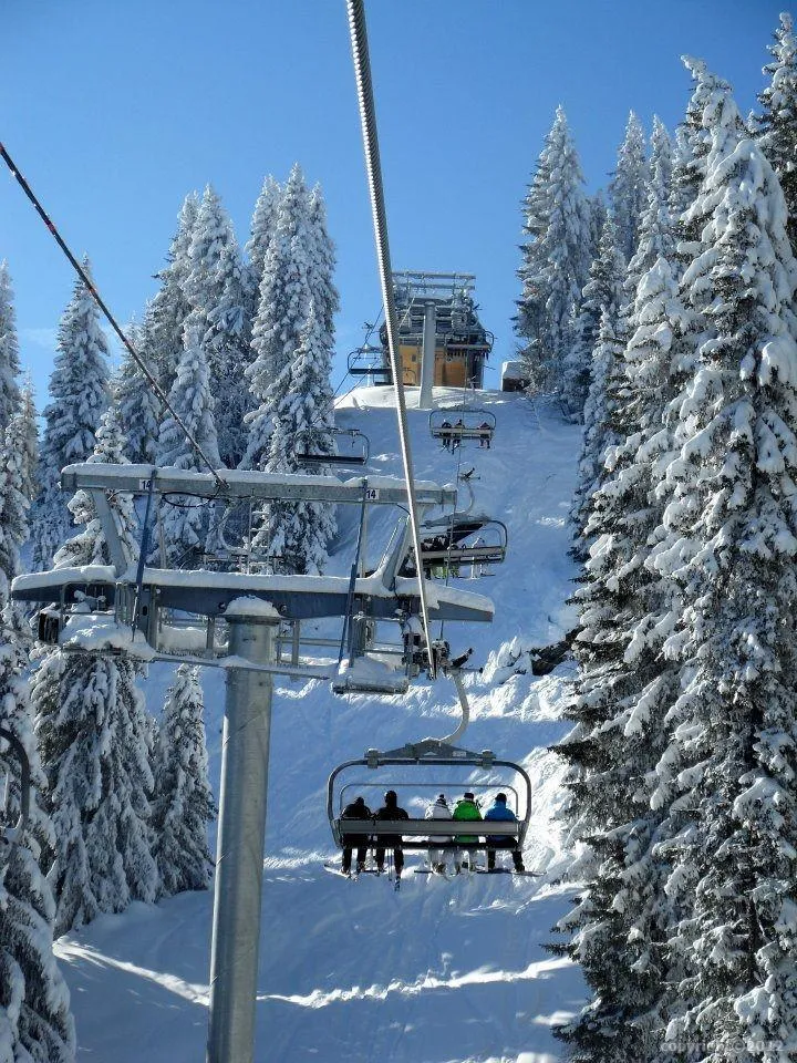 Fête d'été du comité de ski Bourgogne