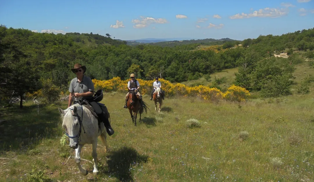Randonnée à cheval dans les Açores : Atlantis et île verte