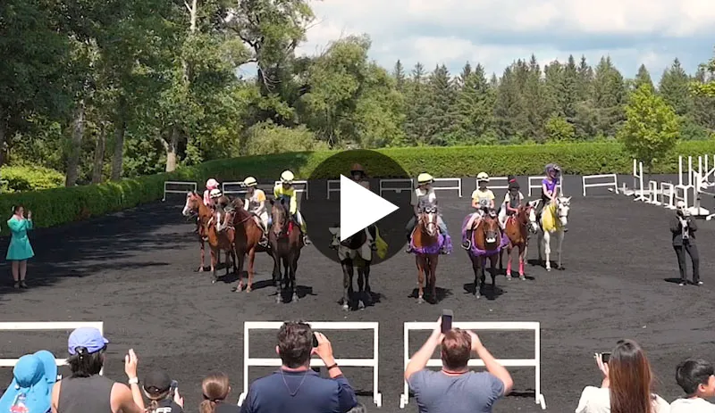 Summer Horse Riding Camp 2024