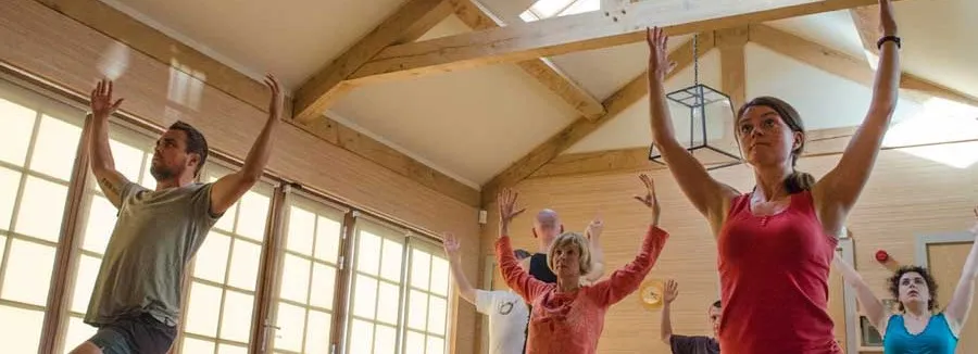 ZenYoga Classes, Courses, and Workshops