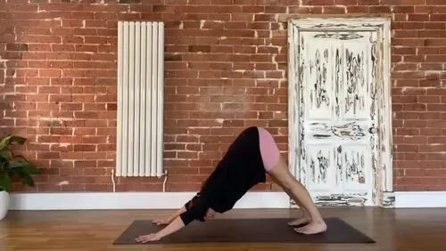 Train in Mandala Vinyasa!