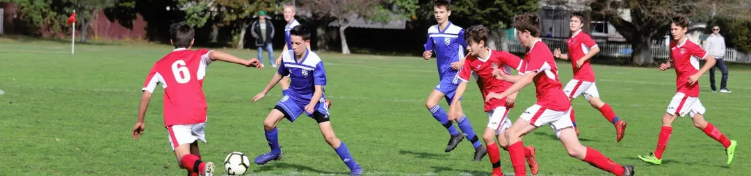 Blue Rovers Development Programme