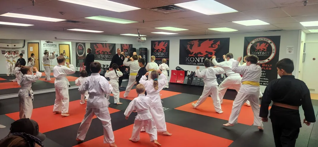 Karate and Jiu-Jitsu Class