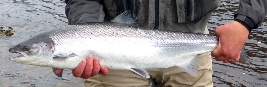 TroutQuest™ Guided Fly Fishing Experiences