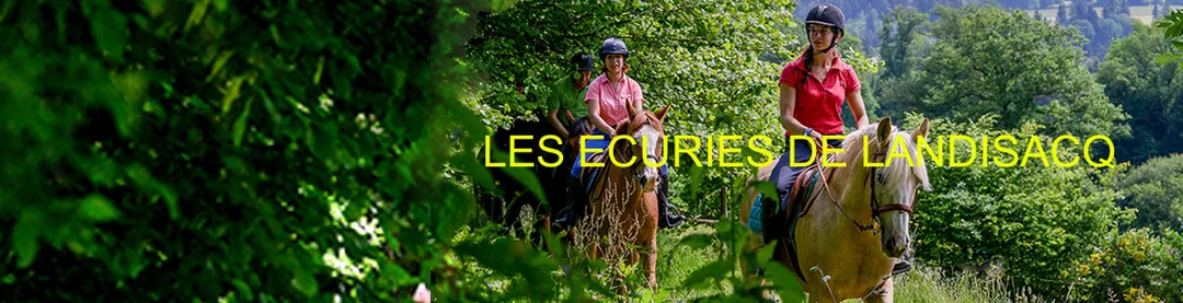 Concours de saut d'obstacles amateur