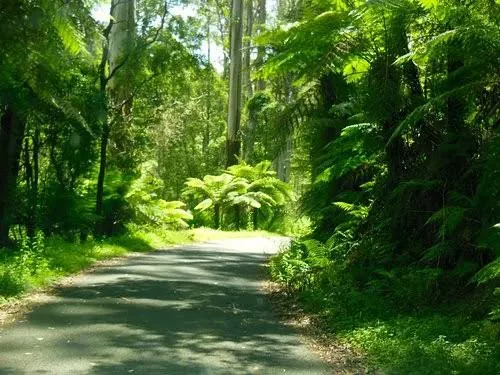 Gippsland Loop