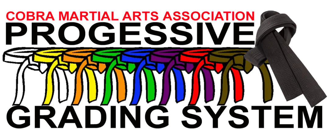 General Martial Arts Lessons