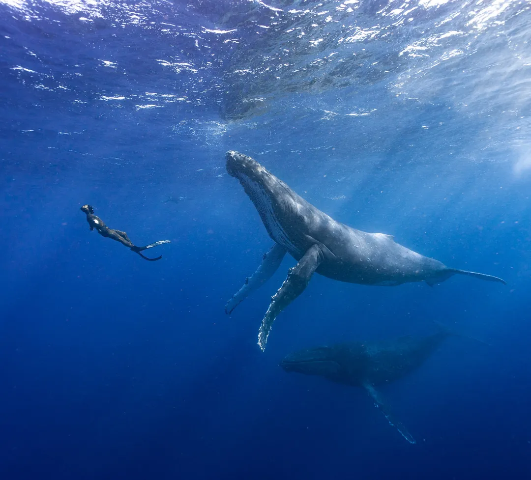 Freediving Family