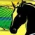 Cedar Lake Equestrian Centre Horse riding
