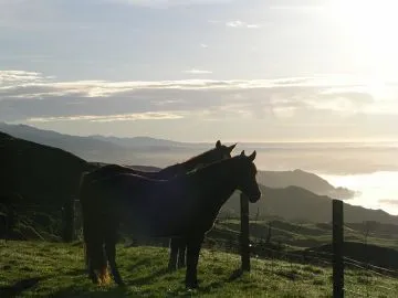 Overnight Horse Treks
