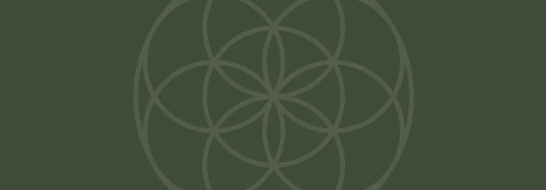 Corporate Coaching Mindfulness Meditation Coaching Programs