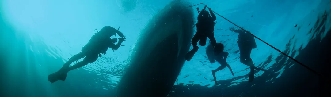 GO PRO New Zealand Certificate in Diving Level 4 Supervision