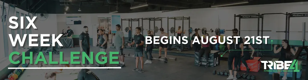 Tribe41 Six Week Challenge