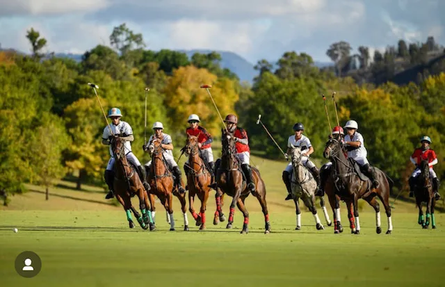 La Dolfina Cup 2024