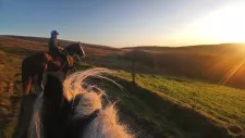 SaddleTramps