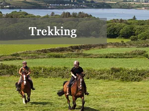Burnham Children and Teen Pony Camps