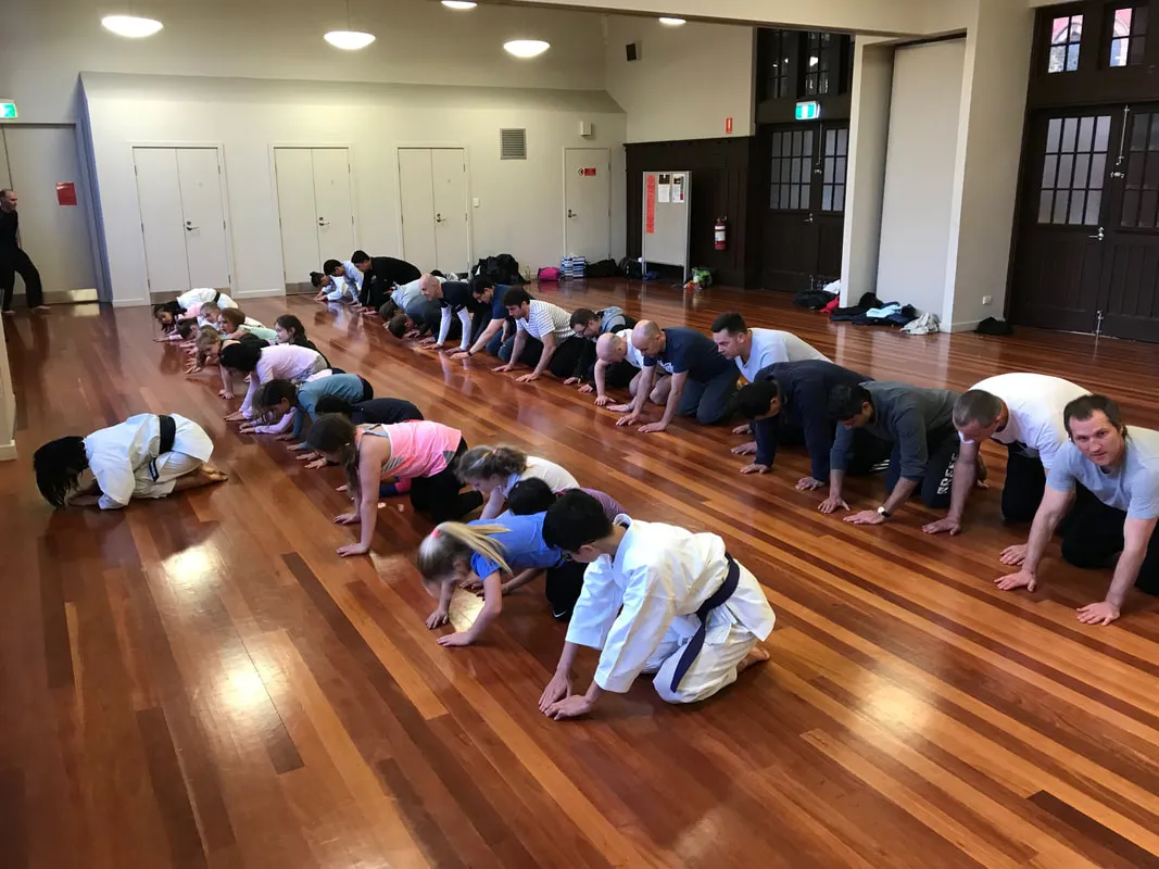 Karyukai Karate