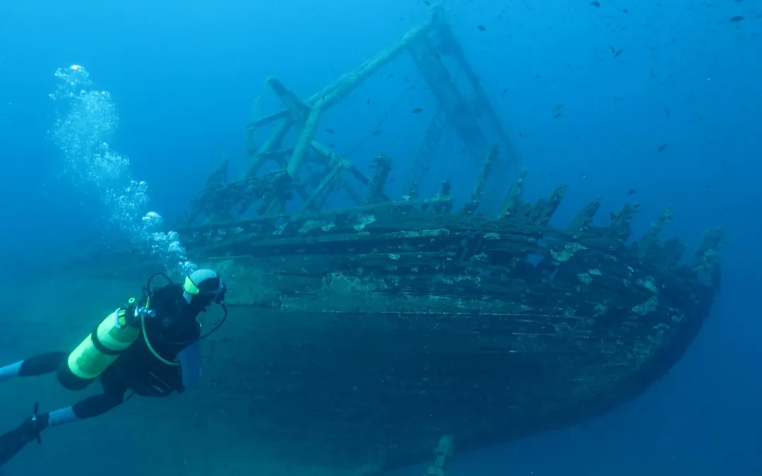 Plongée sous-marine - Sortie Mer 2024
