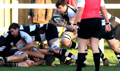 Sutton & Epsom RFC