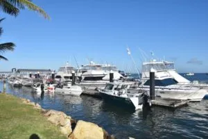 Cairns Bluewater Billfish Tournament 2024