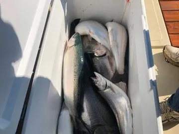 Reel Memories Sportfishing Salmon and Walleye Charters