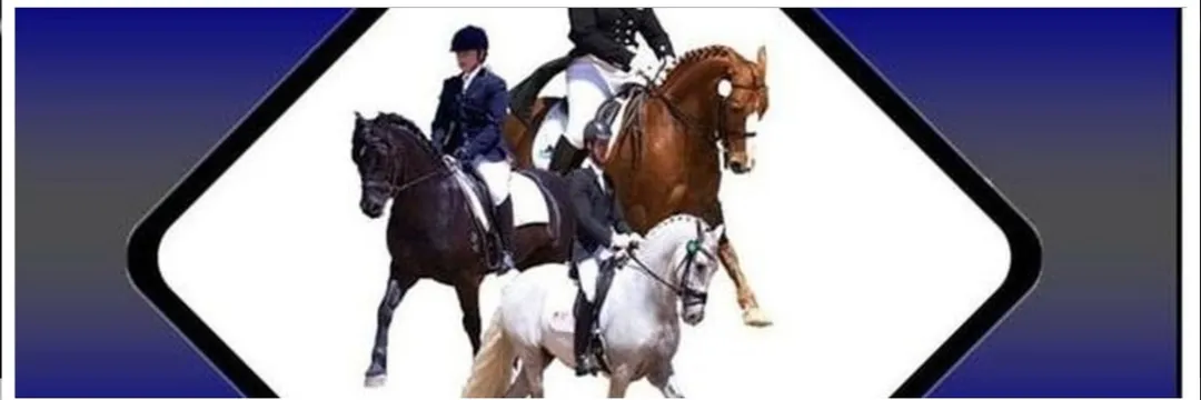 Dressage Competition March