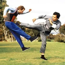 Wing Chun Kung Fu Classes