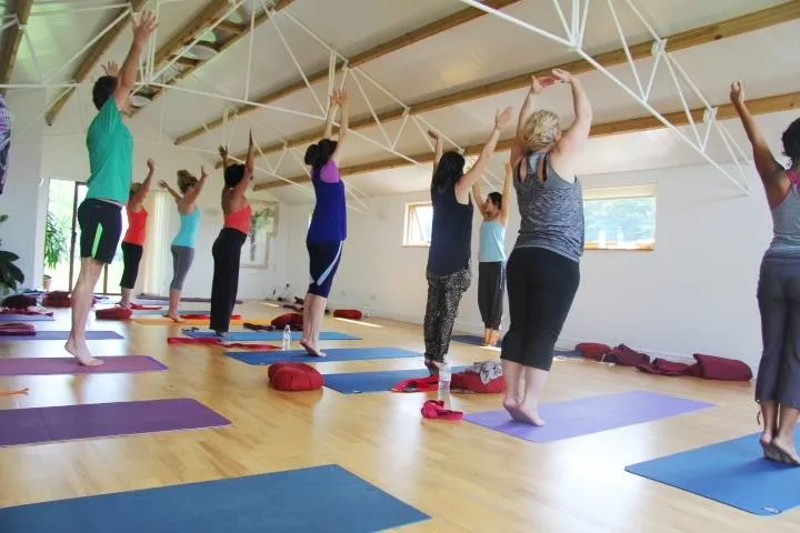 Pregnancy & Postnatal Yoga IN PERSON Classes