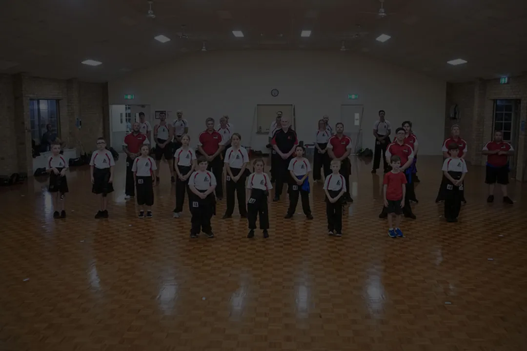 Adult Kung Fu