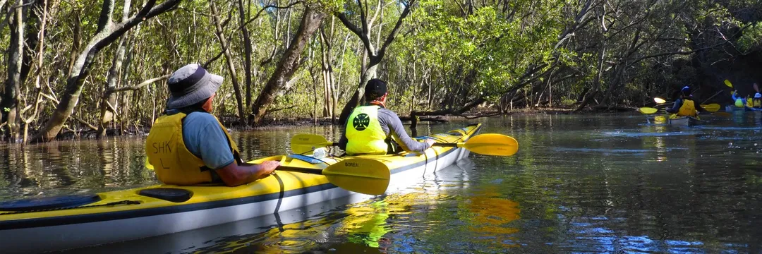 Kayak Mini Wellness Retreat